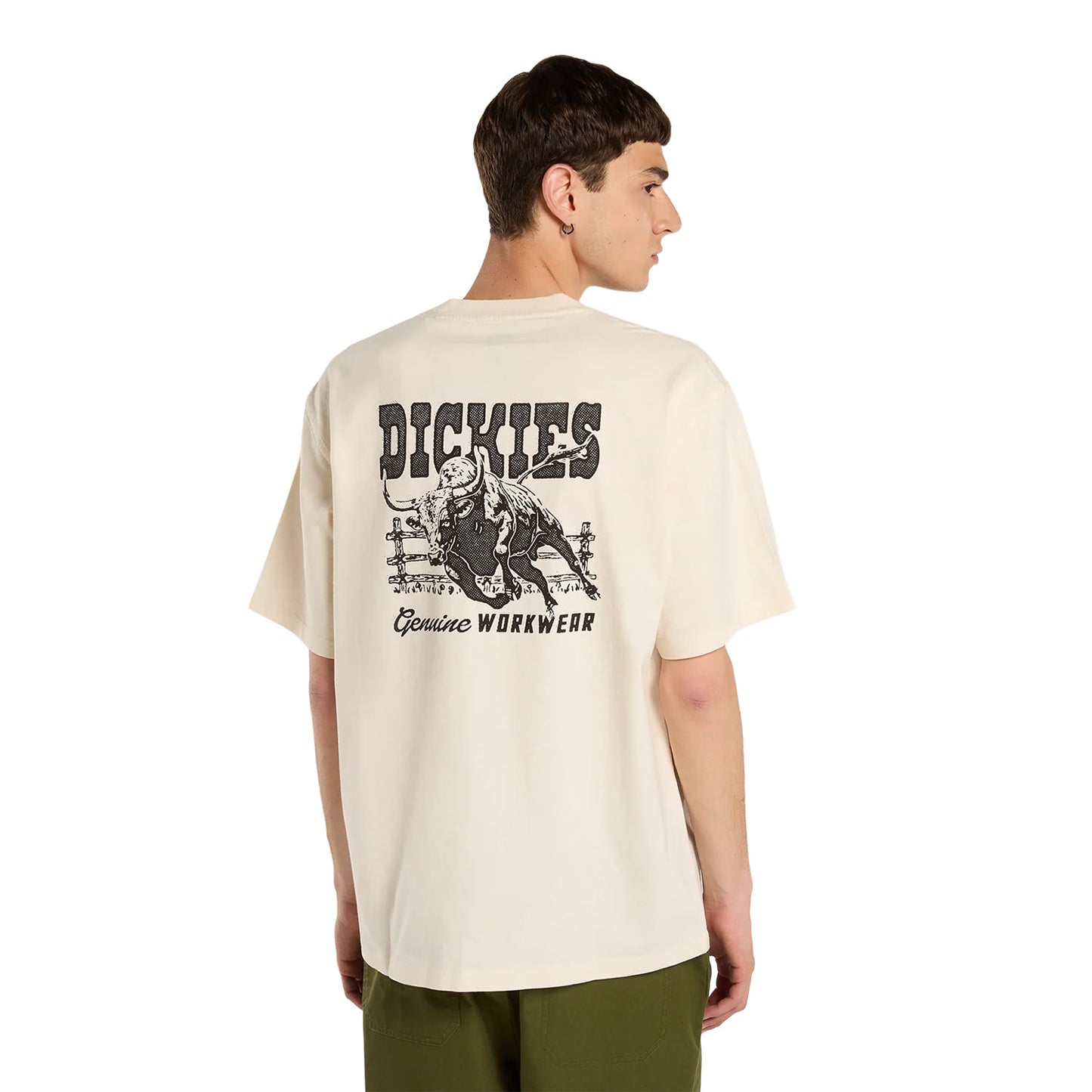 Dickies Buchtell SS Tee Egret  - DK0A883BC48
