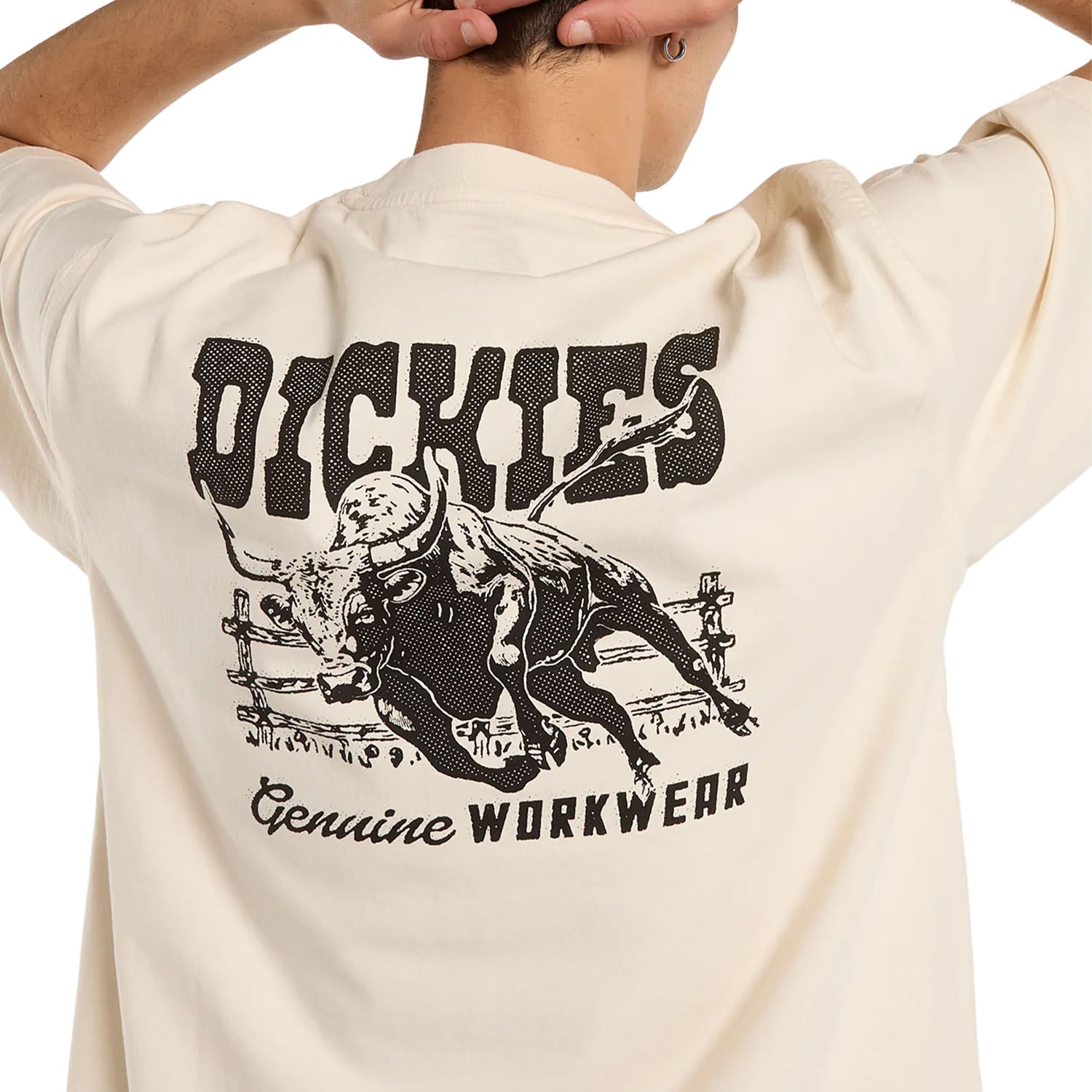 Dickies Buchtell SS Tee Egret  - DK0A883BC48