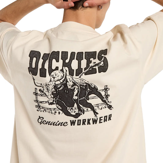 Dickies Buchtell SS Tee Egret  - DK0A883BC48