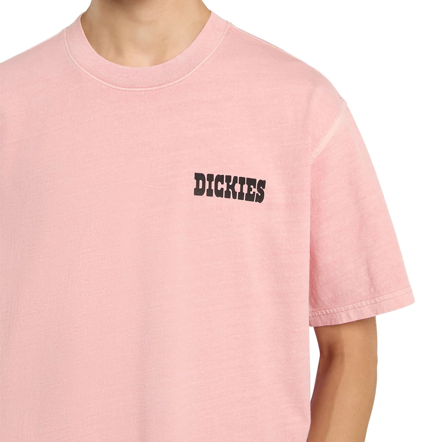 Dickies Buchtell SS Tee Bridal Rose  - DK0A883BL47