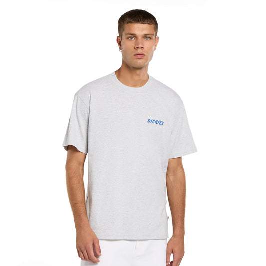 Dickies Dry Ridge SS Tee Light Gray  - DK0A8853A28