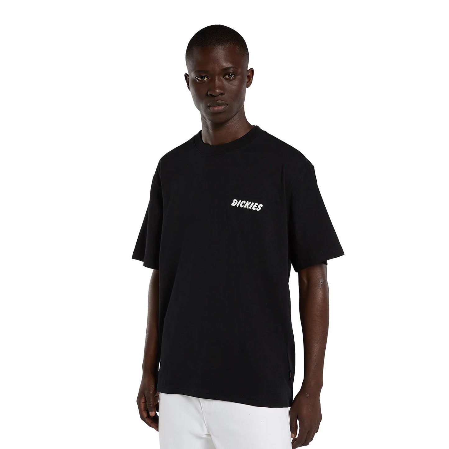 Dickies Dry Ridge SS Tee Black  - DK0A8853BLK