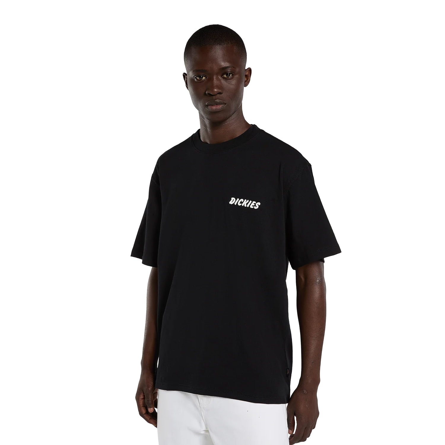 Dickies Dry Ridge SS Tee Black  - DK0A8853BLK