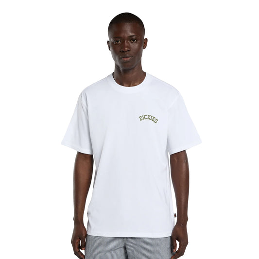 Dickies Bettsville SS Tee White  - DK0A88870WH