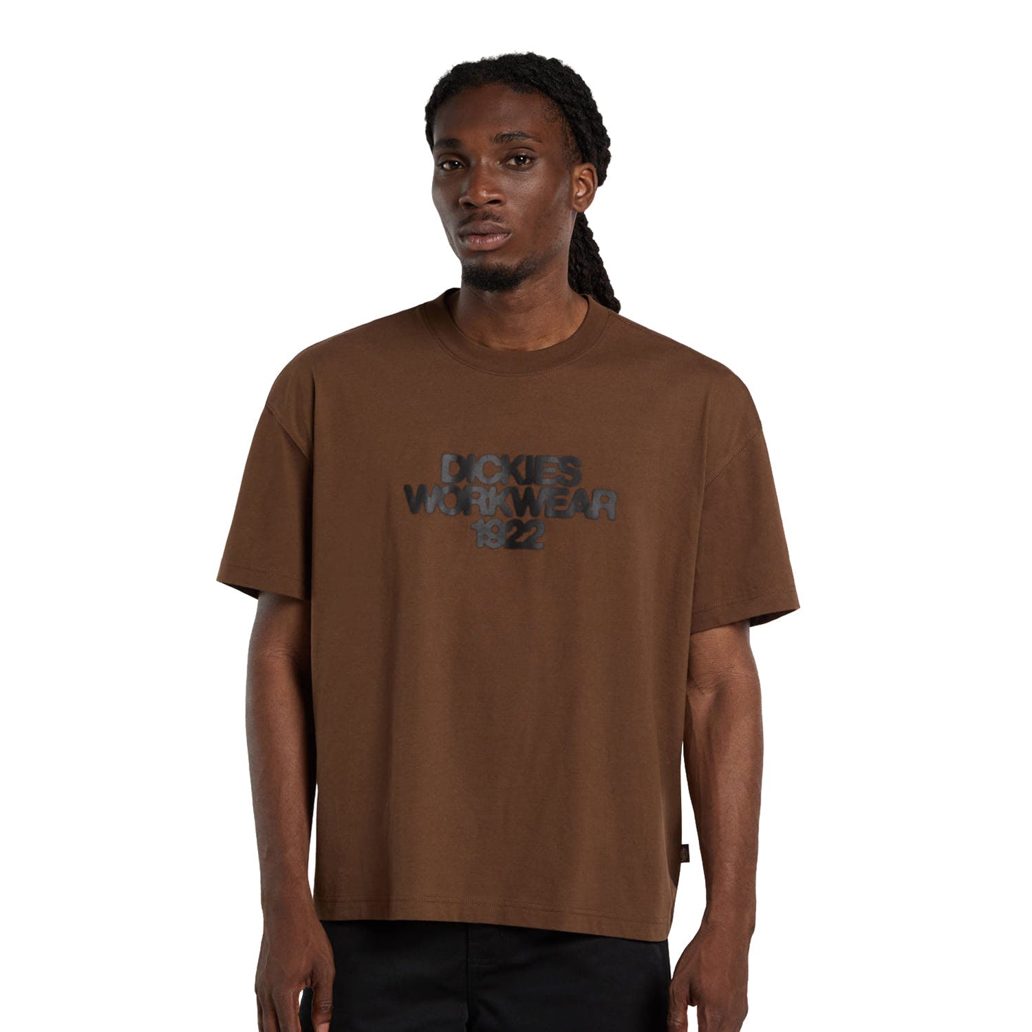 Dickies Torrey T-Shirt Timber Brown  - DK0A88890TB