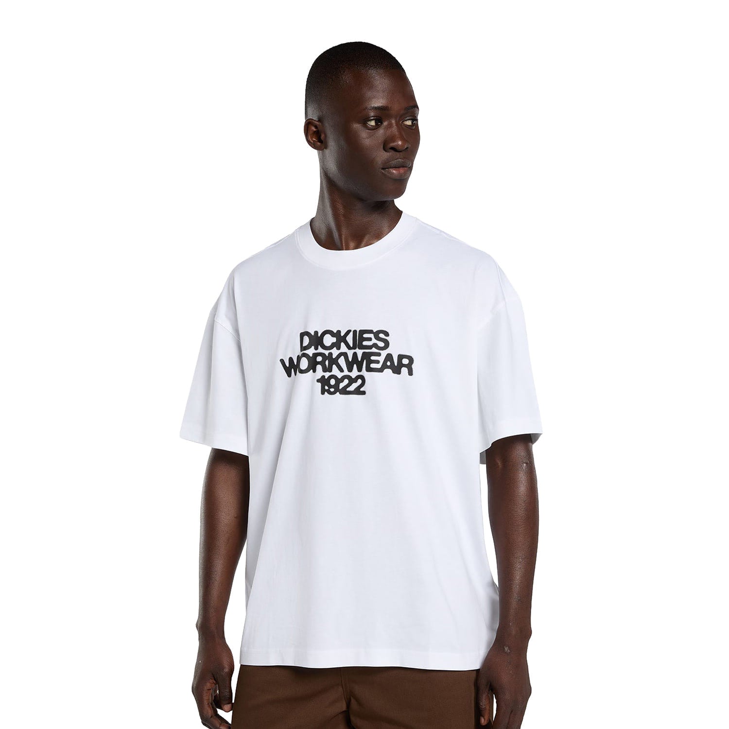 Dickies Torrey T-Shirt White  - DK0A88890WH