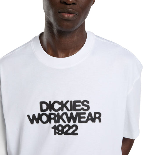 Dickies Torrey T-Shirt White  - DK0A88890WH