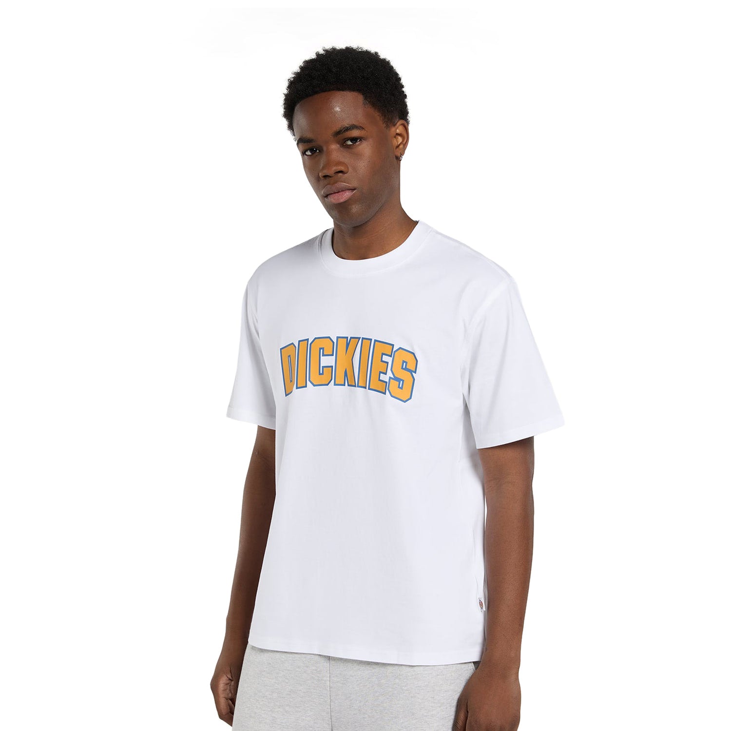 Dickies Aitkin T-Shirt White  - DK0A88GL0WH