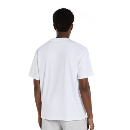 Dickies Aitkin T-Shirt White  - DK0A88GL0WH