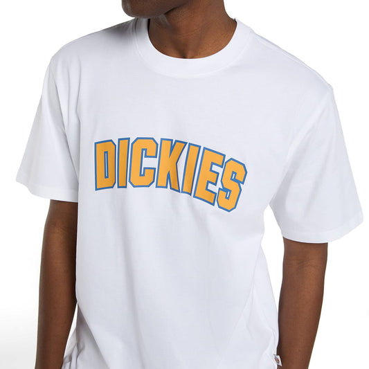 Dickies Aitkin T-Shirt White  - DK0A88GL0WH