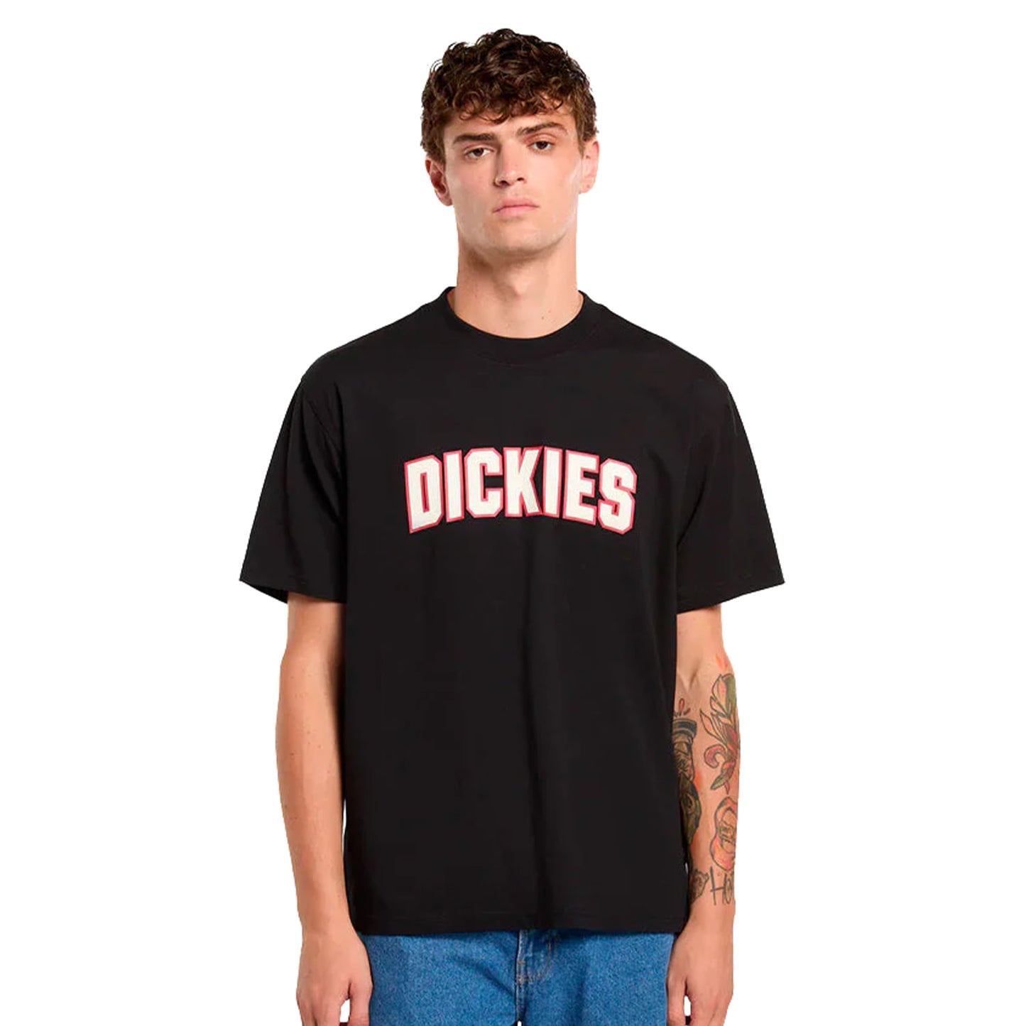 Dickies Aitkin T-Shirt Black  - DK0A88GLBLK