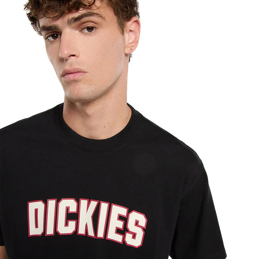 Dickies Aitkin T-Shirt Black  - DK0A88GLBLK