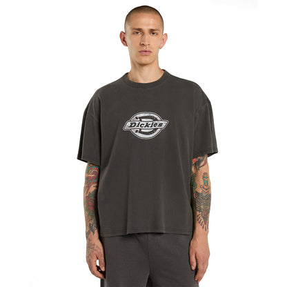 Dickies Plainville SS Tee Black  - DK0A88GNBLK