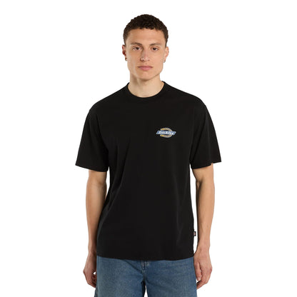 Dickies Paradise SS Tee Black