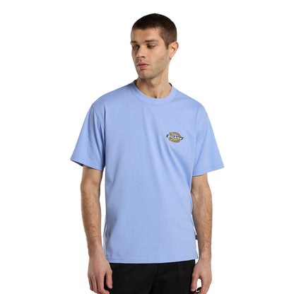 Dickies Paradise SS Tee Lavender Purple  - DK0A8CIOC21