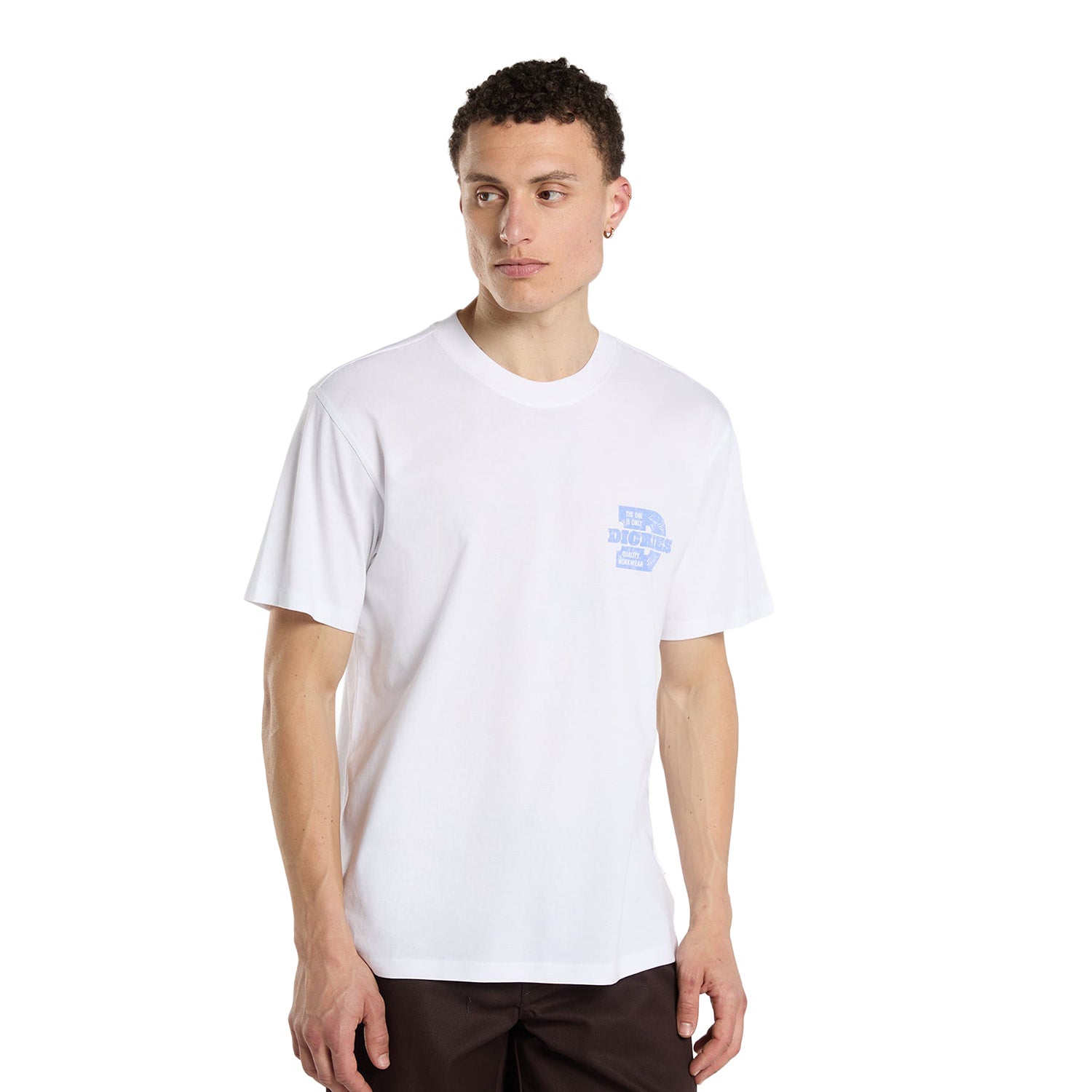 Dickies Minden SS Tee White  - DK0A8DTC0WH