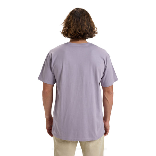 Billabong Arch Crew T-Shirt Light Purple  - EBYKT00100-SKW0