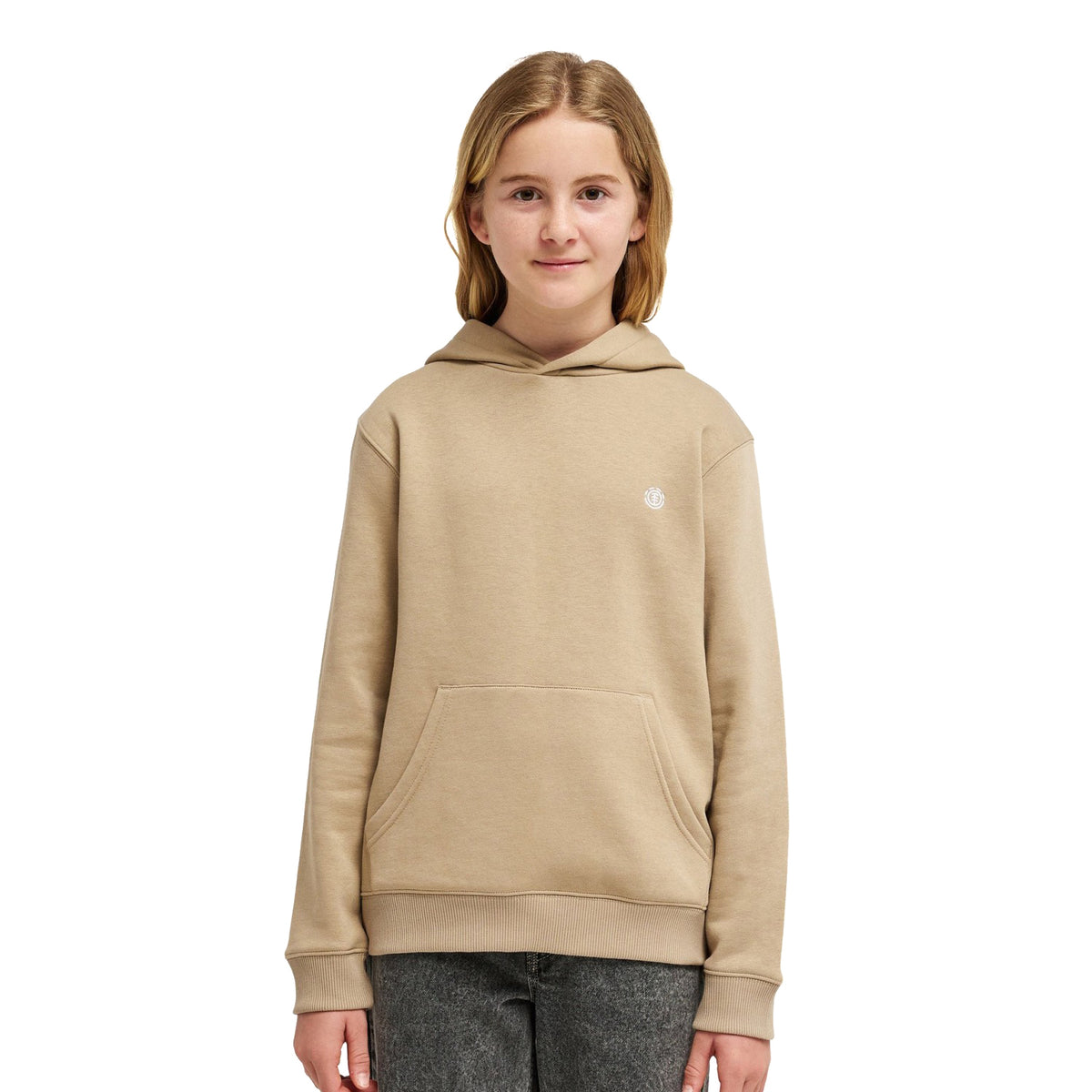 Element Icon Embroidery Hoodie Aluminum  - ELBFT00141-TKH0