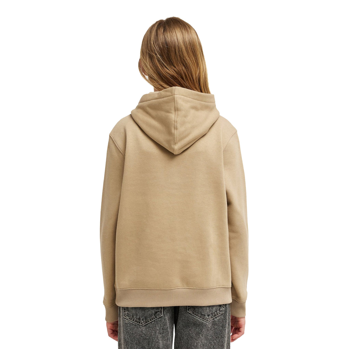 Element Icon Embroidery Hoodie Aluminum  - ELBFT00141-TKH0