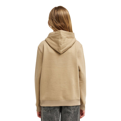 Element Icon Embroidery Hoodie Aluminum  - ELBFT00141-TKH0