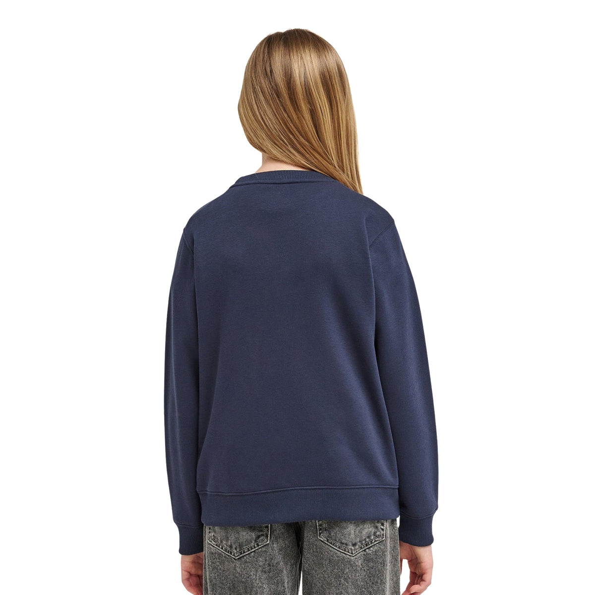 Element Icon Embroidery Crew Eclipse Navy  - ELBFT00144-ECN