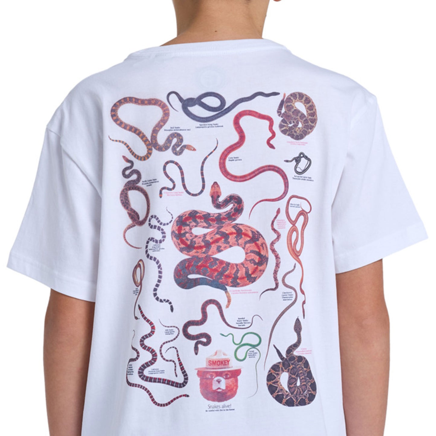 Element SBXE Nest T-Shirt Optic White  - ELBZT00221-WBB0