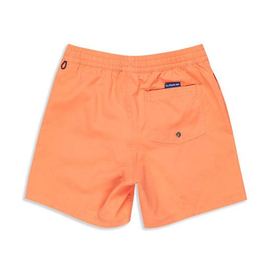 Quiksilver Everyday Solid Youth 14" Short Melon