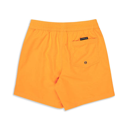 Quiksilver Everyday Volley Youth 14" Radiant Yellow