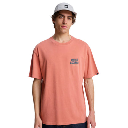 Quiksilver Fruits Tide SS Tee Desert Sand  - EQYZT08296-MKT0