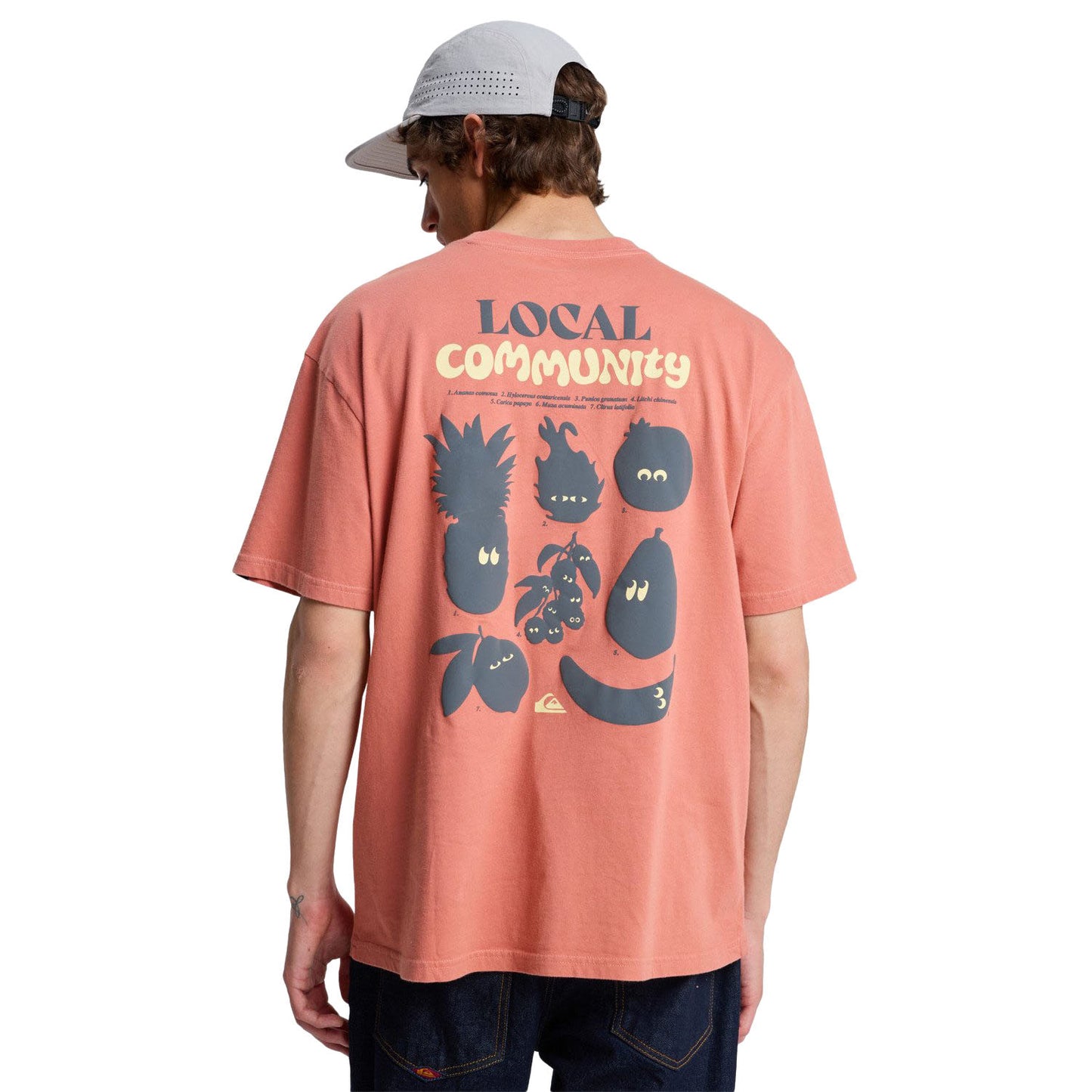 Quiksilver Fruits Tide SS Tee Desert Sand  - EQYZT08296-MKT0