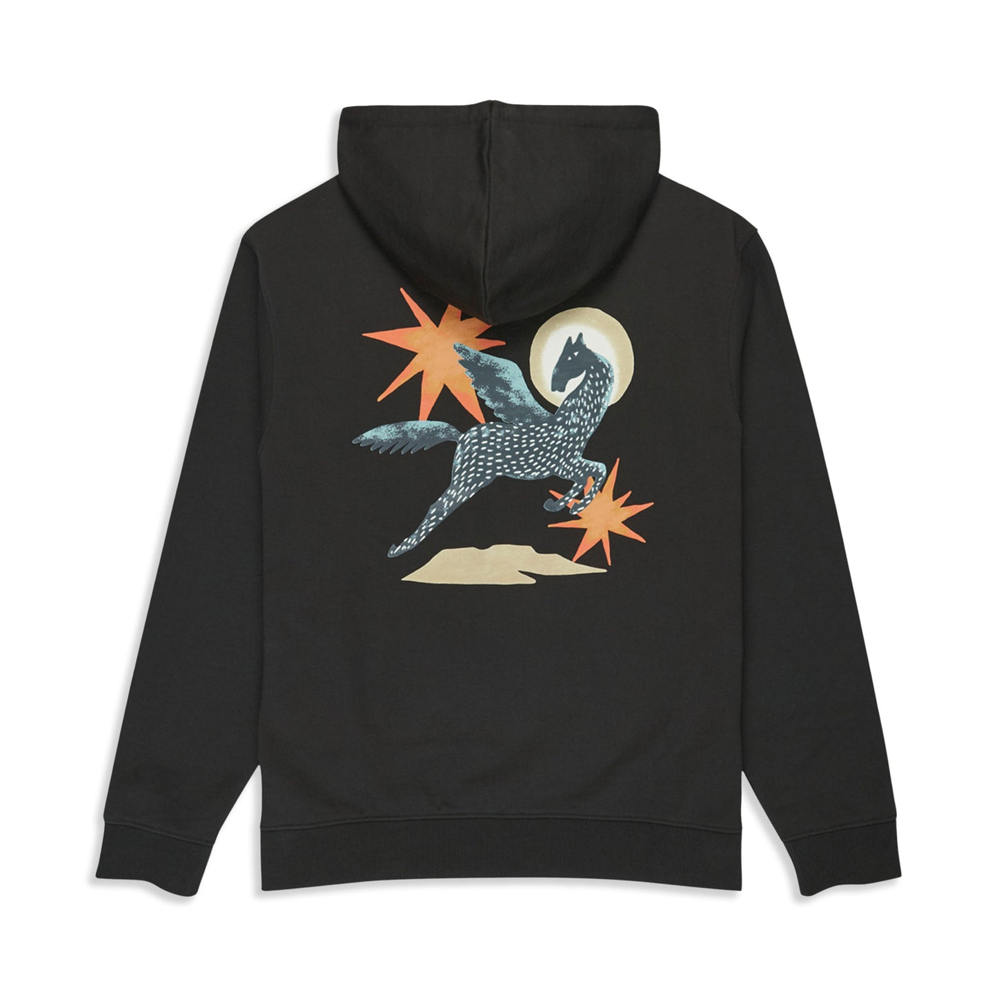 RVCA Pegasus Pirate Black  - EVYSF00137-PTK