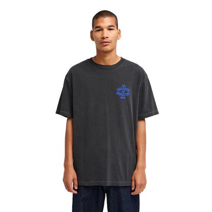 RVCA Dalas Snake Tee Washed Black  - EVYZT00372-KTA0