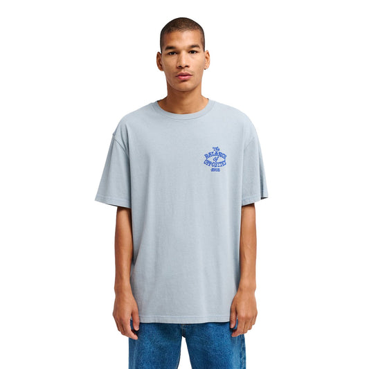 RVCA Dalas Snake Tee Monument  - EVYZT00372-MON