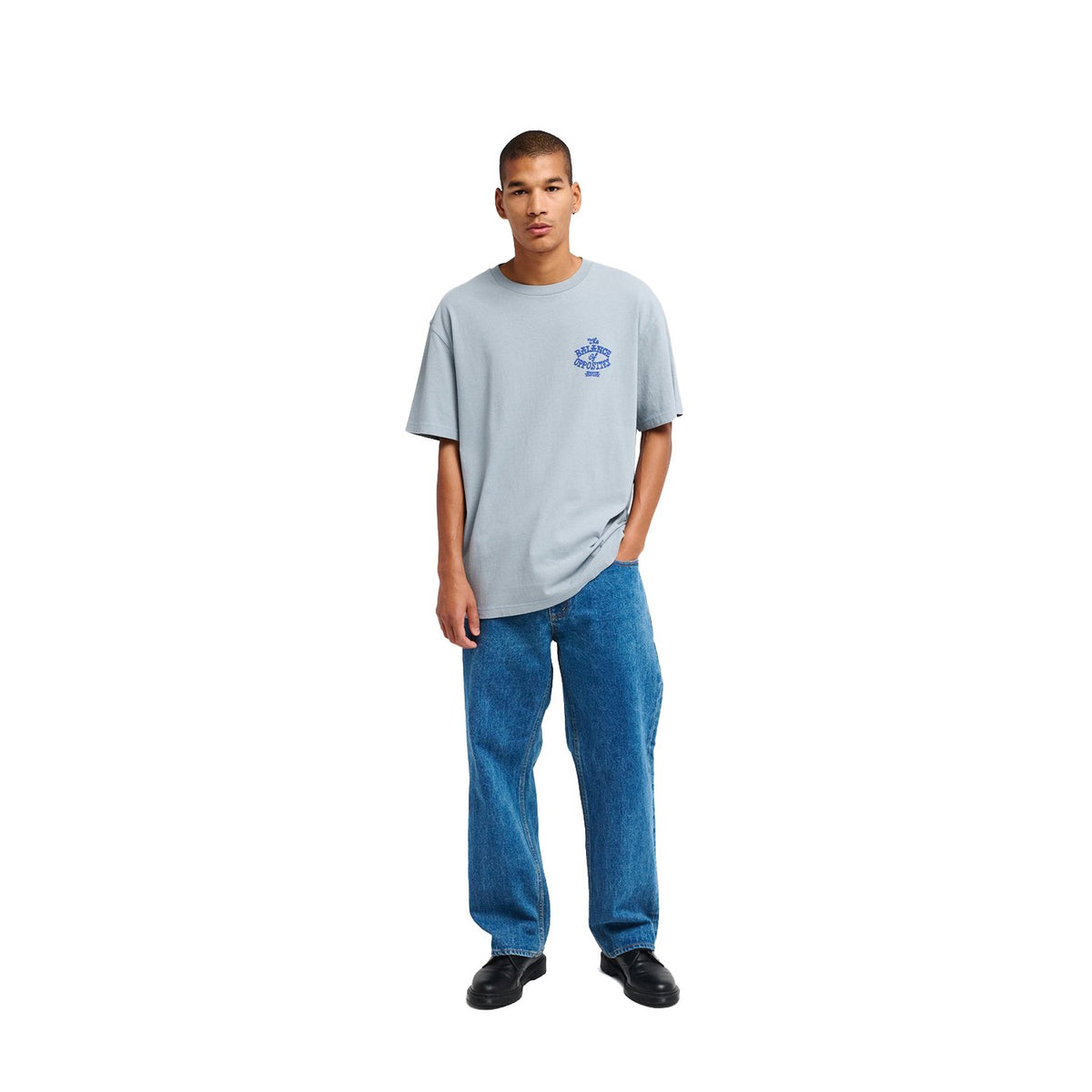 RVCA Dalas Snake Tee Monument  - EVYZT00372-MON
