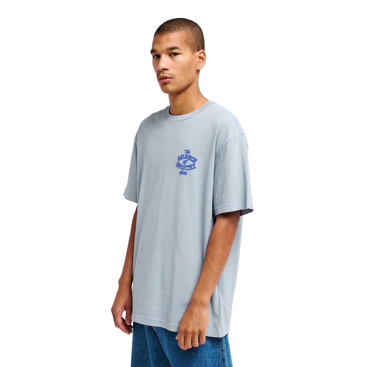 RVCA Dalas Snake Tee Monument  - EVYZT00372-MON