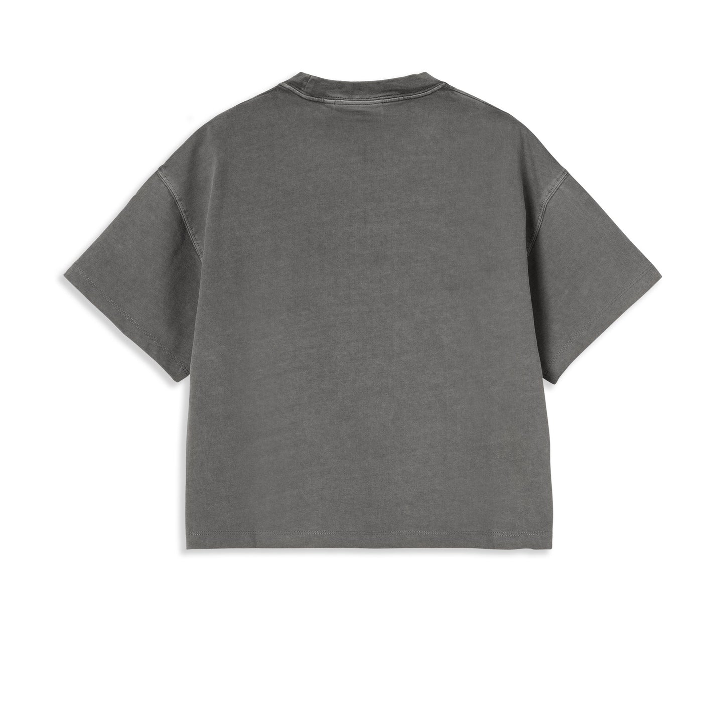 Carhartt WIP W S/S Benton T-Shirt Graphite garment dyed  - I03552887GD