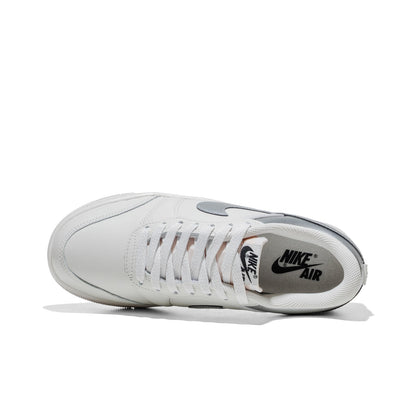 Jordan Wmns Air Jordan Skyline Low Swan/Metallic Silver  - IQ6586-101
