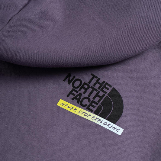 The North Face ES Graphic Hoodie Lunar Slate  - NF0A83FKN141