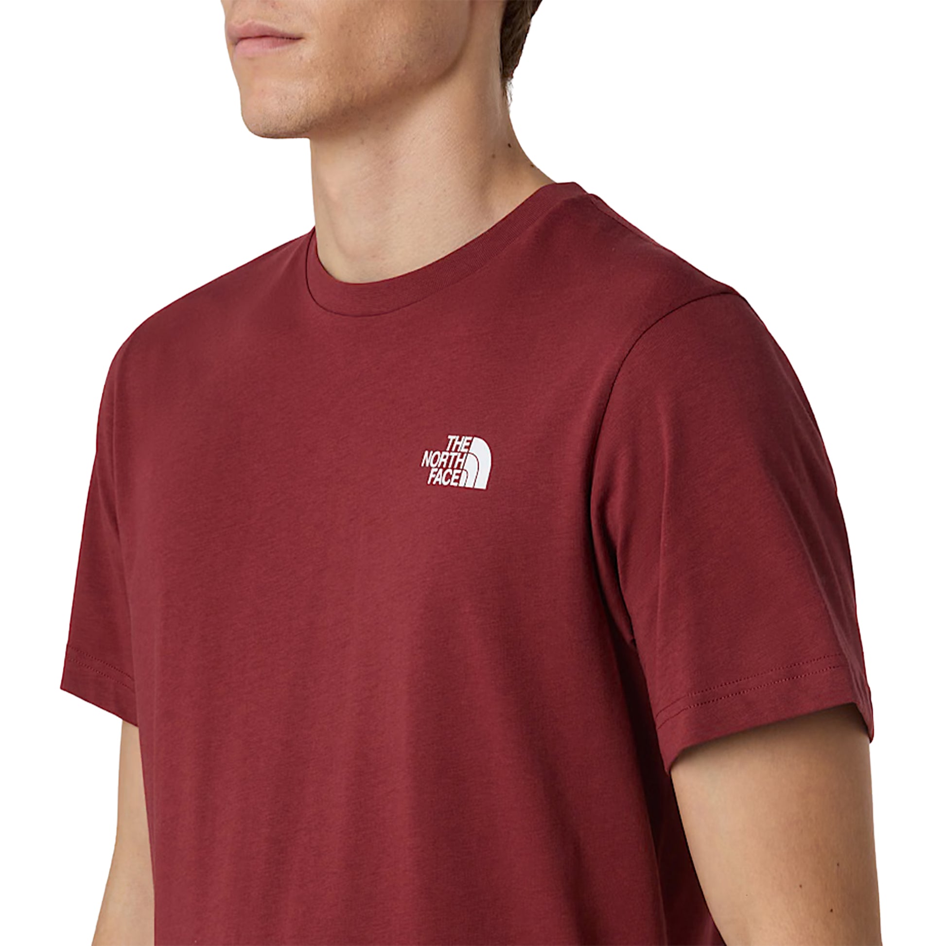 The North Face S/S Box NSE Tee Sumac/Asphalt Grey  - NF0A87NPDO31