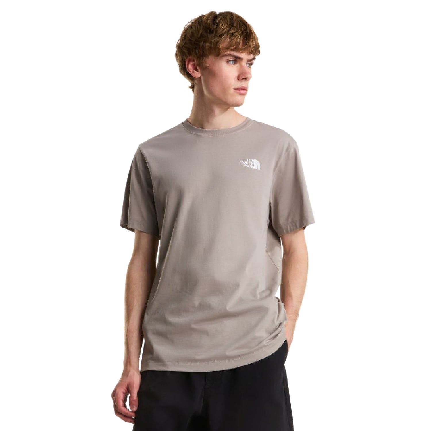 The North Face Evolution Box NSE Regular SS Tee Stone Slab  - NF0A8B6K2MB1