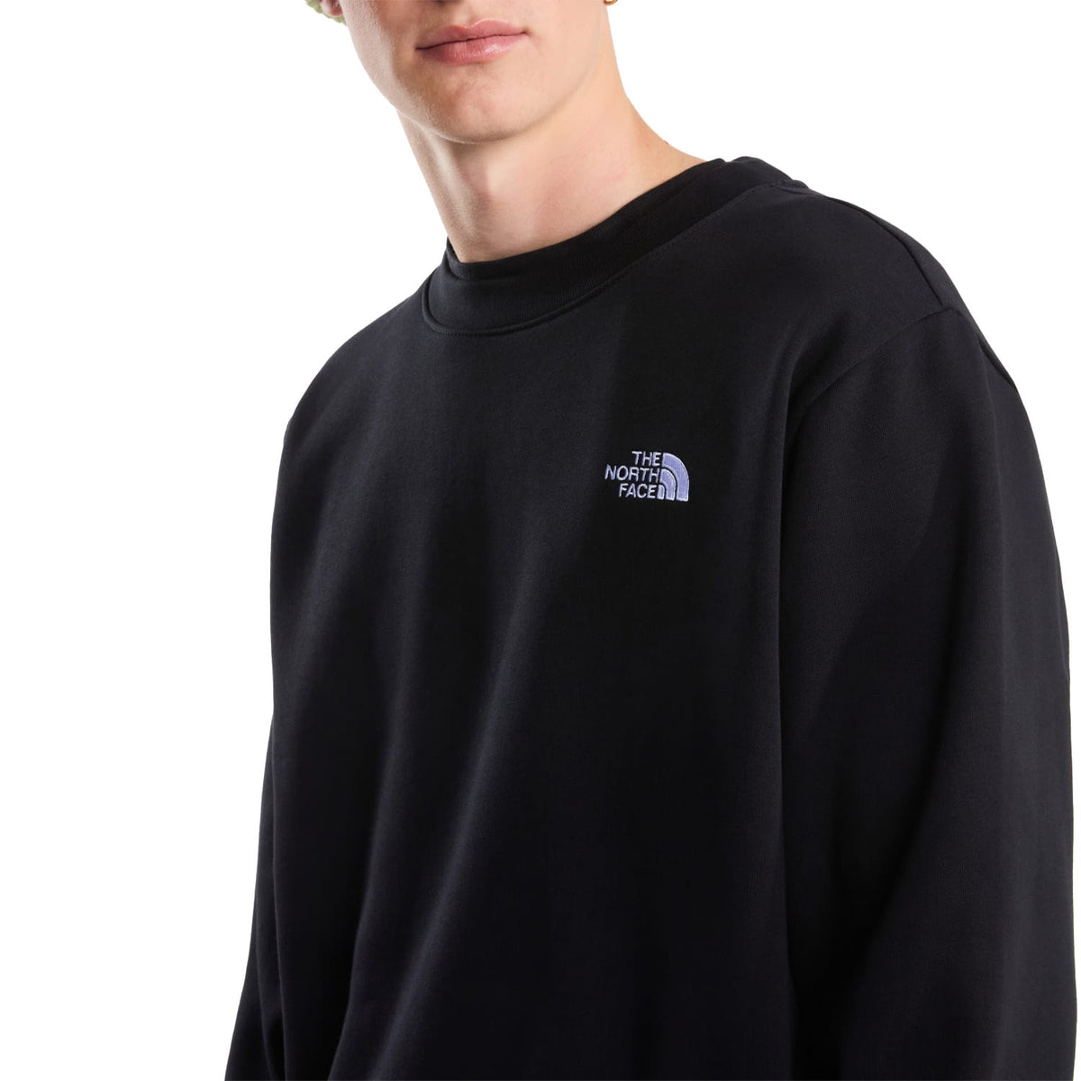 The North Face Evolution Simple Dome Regular Crew TNF Black  - NF0A8D60JK31