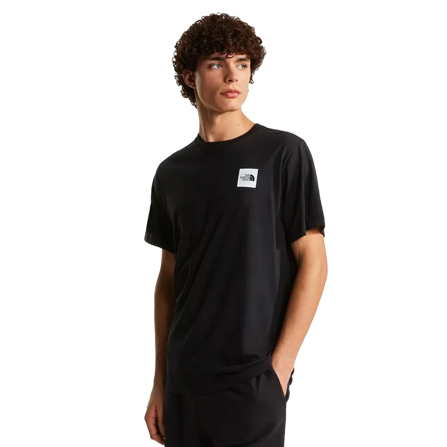 The North Face Evolution Box Half Dome Reg SS Tee TNF Black  - NF0A8G9CJK31