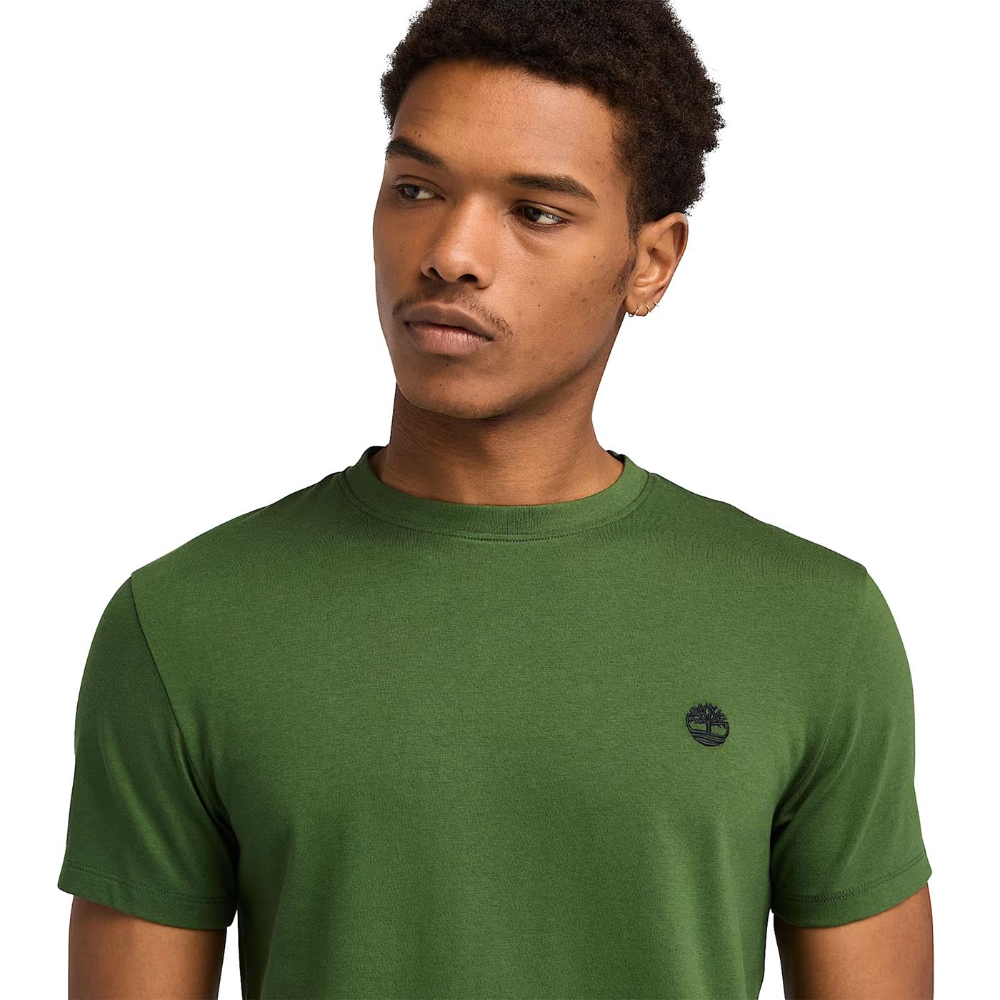 Timberland Dunstan River SS Tee Black Forest Green  - TB0A2BPREIN1