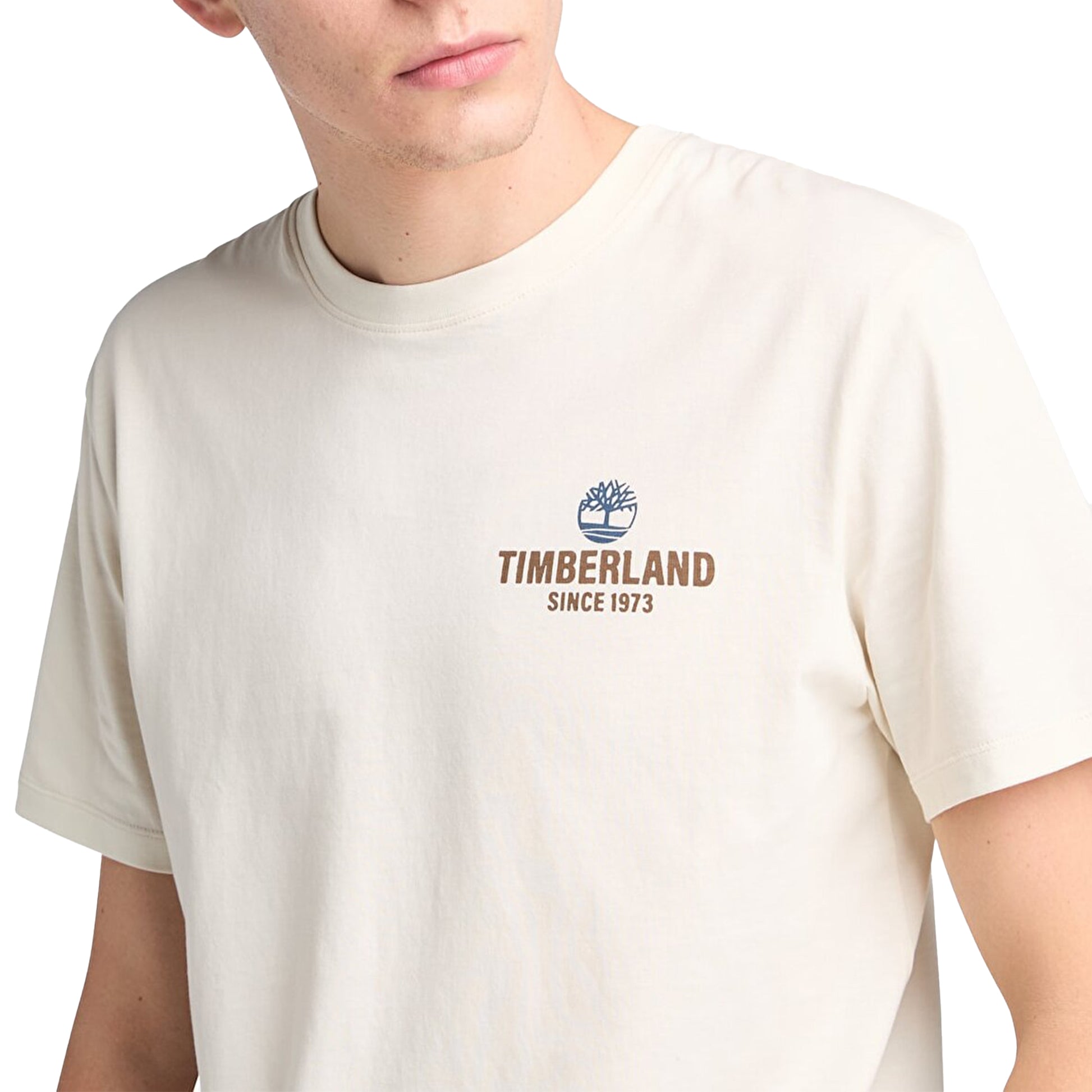 Timberland Work Inspired Back Graphic Tee Vintage White  - TB0A2G8SCM91
