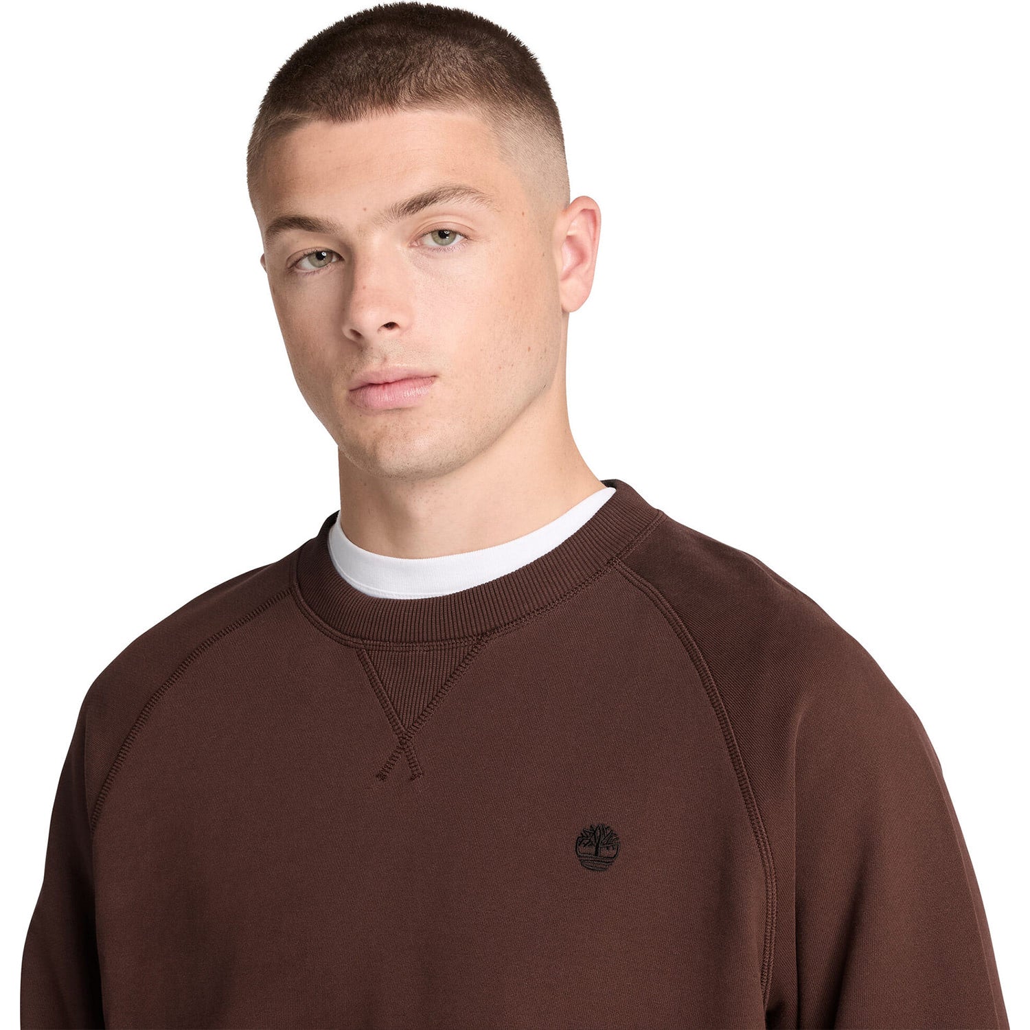 Timberland Exet LB Crew Sweatshirt Chicory Coffee  - TBC0YHBAAJD1