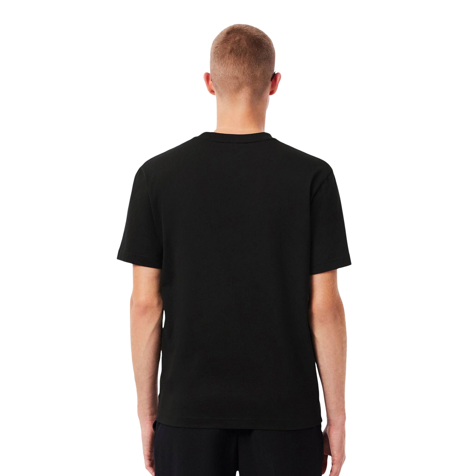 Lacoste Jersey Colour-Block T-Shirt Black/Laponie-Sinople  - TH5890-6XH
